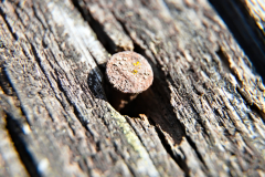 Rusty nail