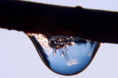 Droplet