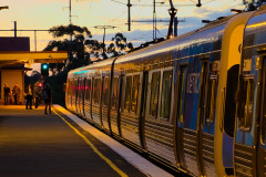 Metro train at Royal Park