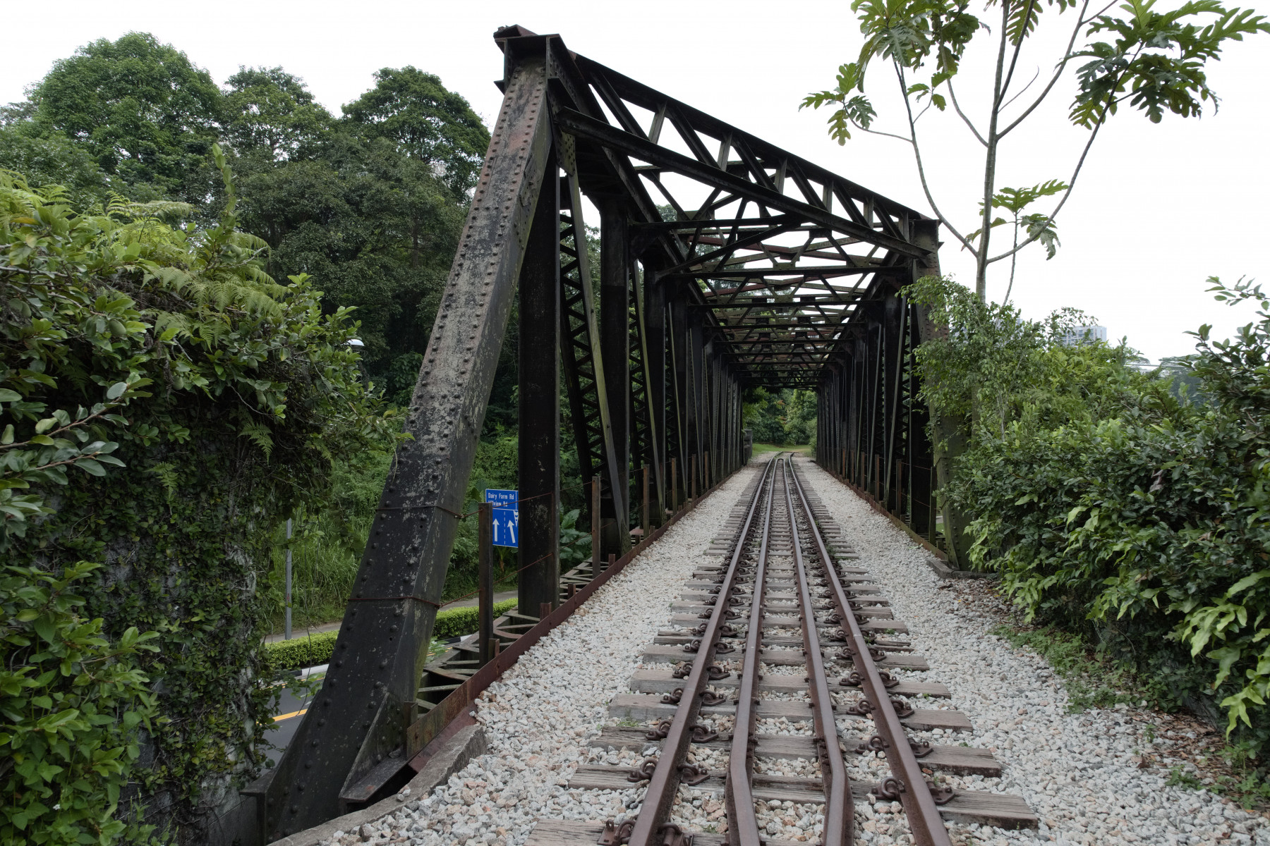 The bridge crossing Upper Bukit Timah Road