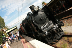 Steamrail Victoria