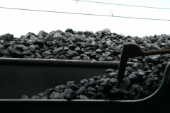 Steamrail Victoria A2 986