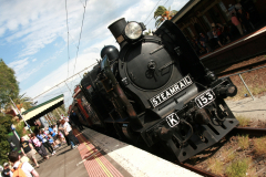 Steamrail Victoria K153 in Essendon